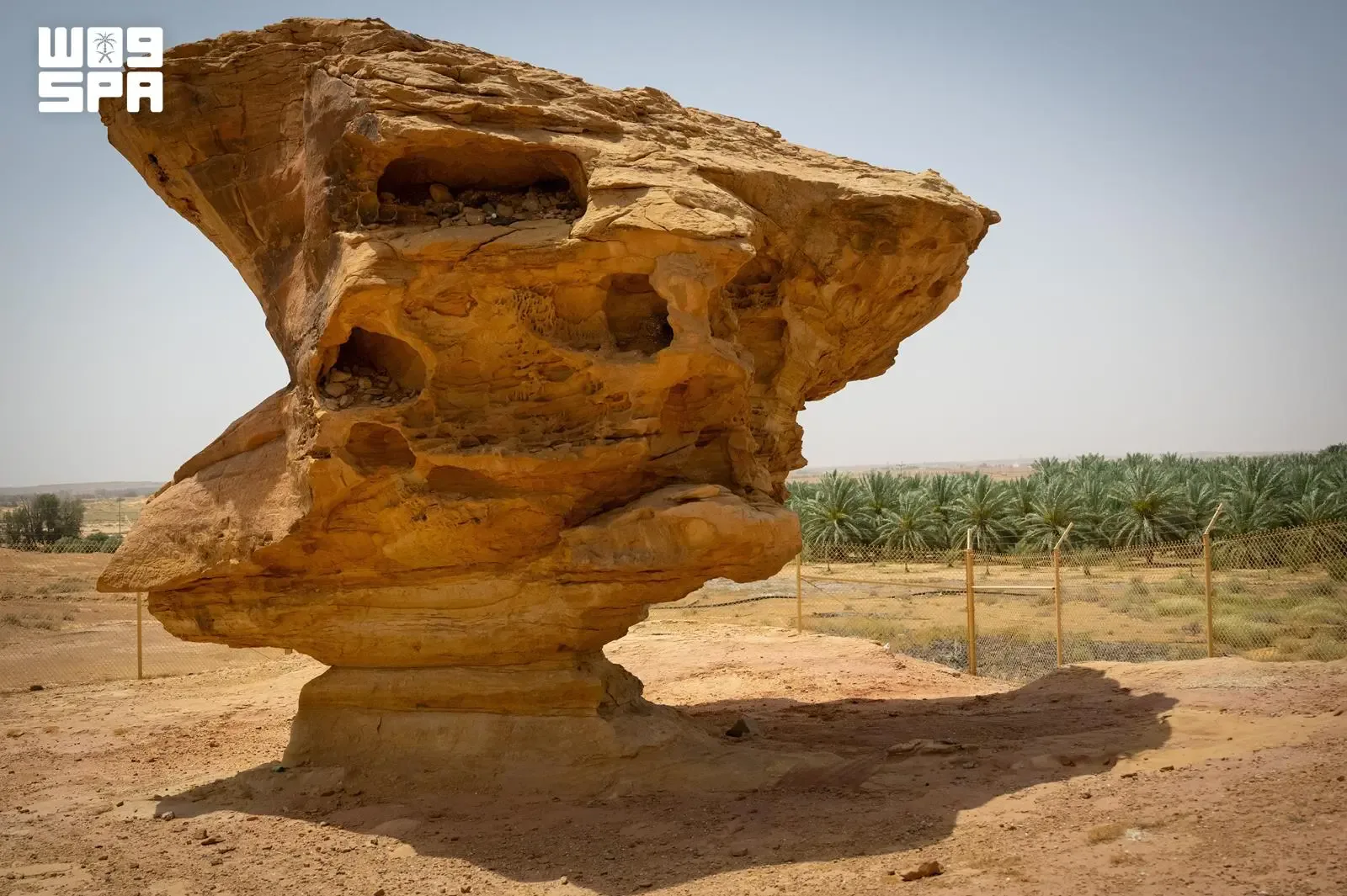 صورة الخبر