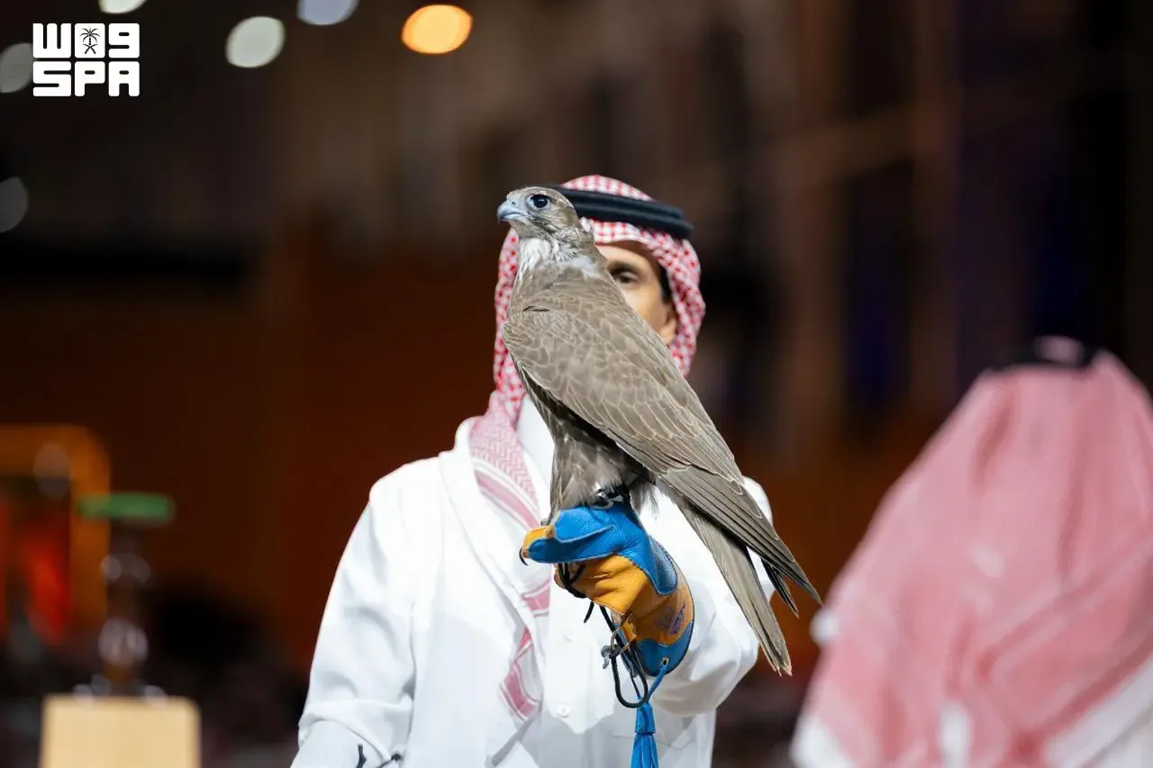 صورة الخبر