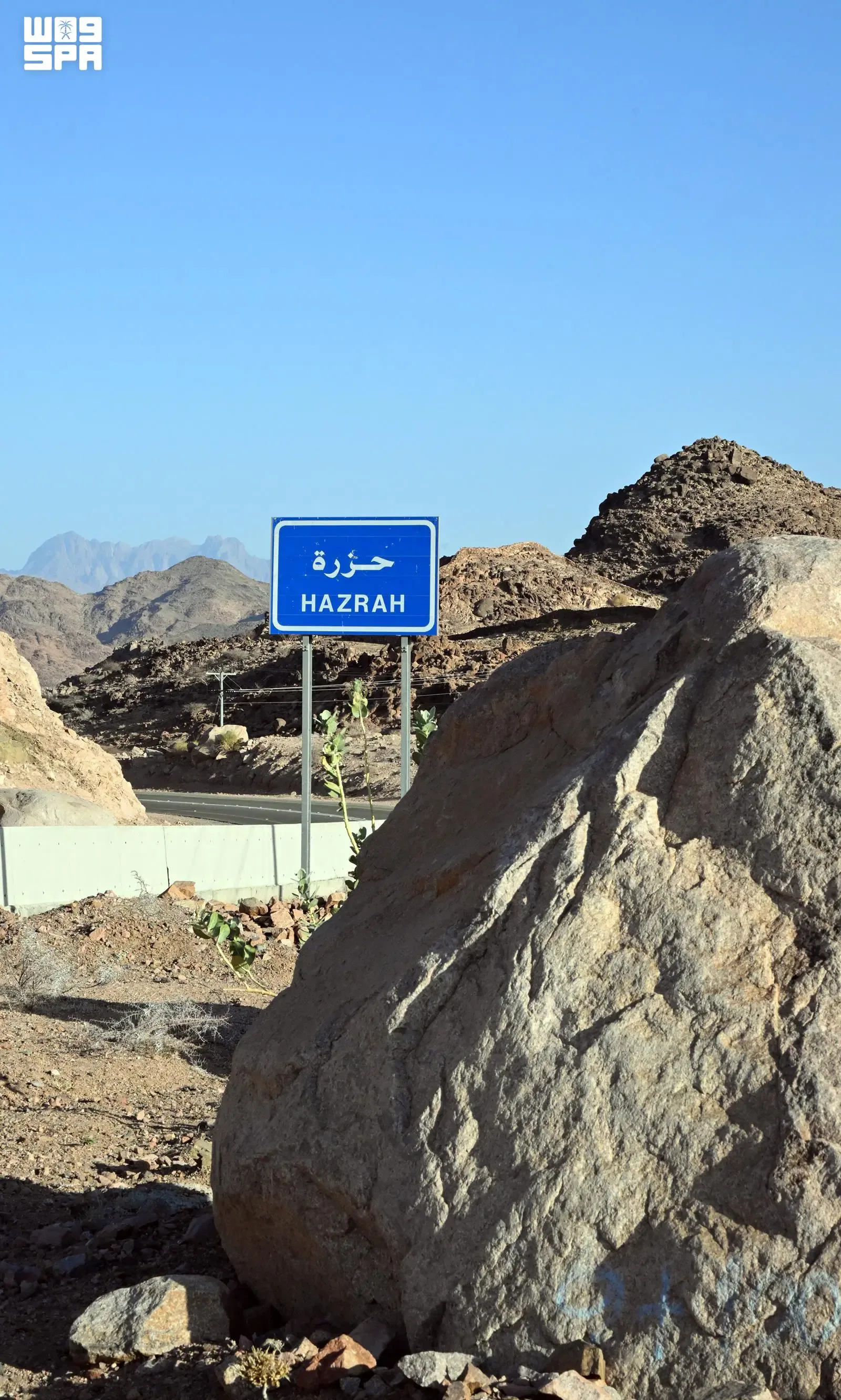 صورة من الألبوم