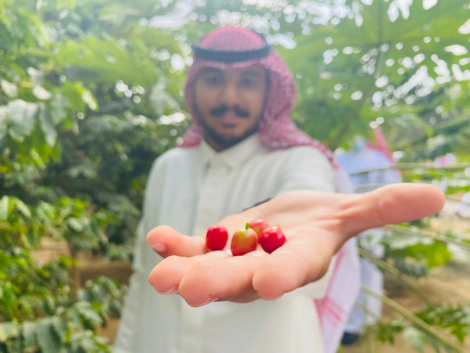 صورة الخبر