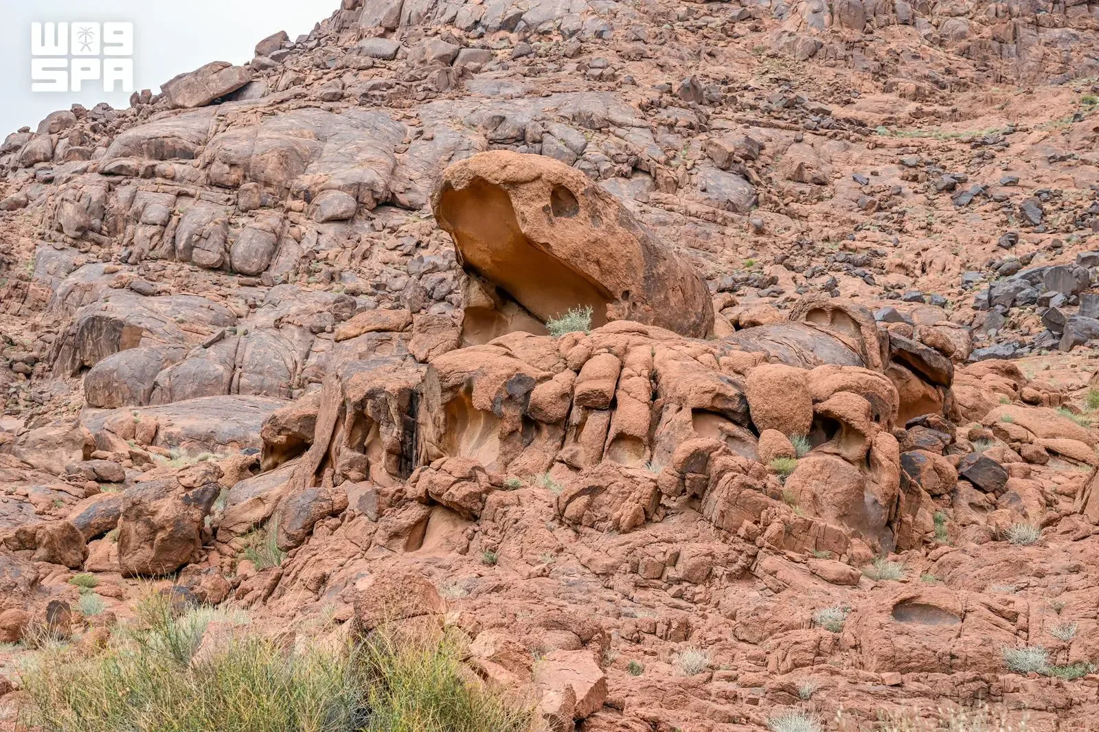 صورة من الألبوم