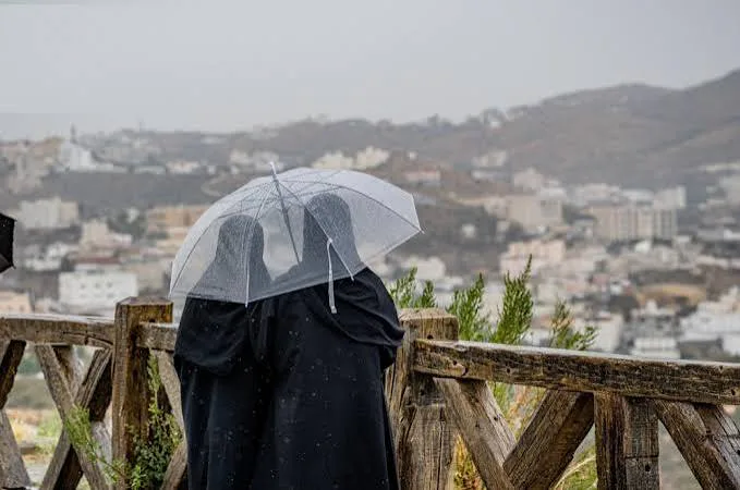 صورة الخبر
