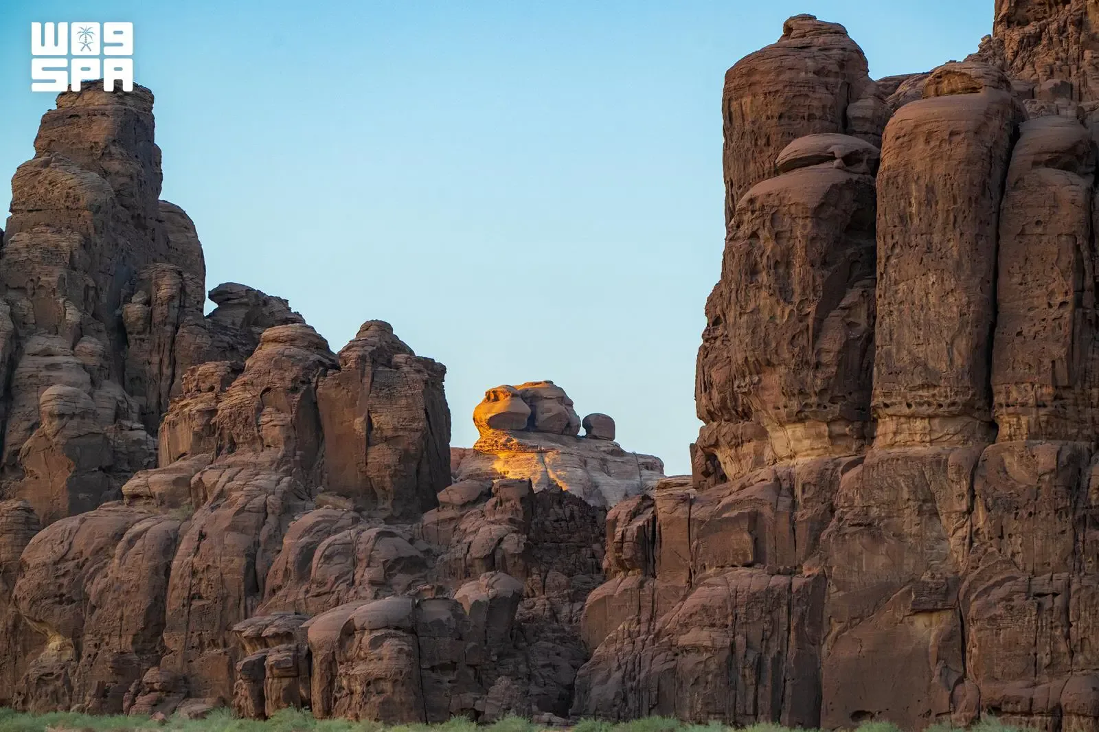 صورة من الألبوم