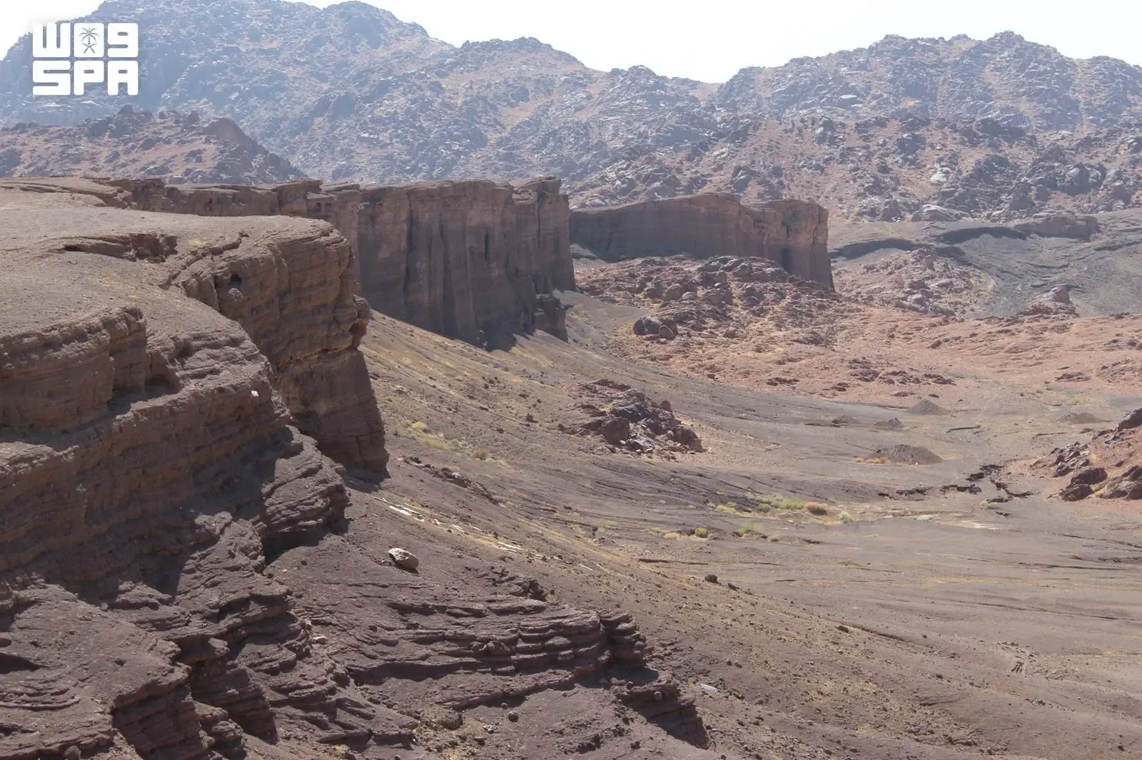 صورة من الألبوم