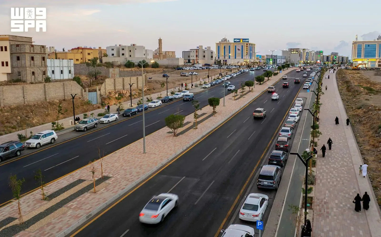 أمانة عسير تزرع مليون زهرة شتوية لتأمين ثورة بصرية وتنافسية سياحية كبرى