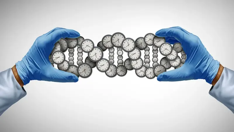 علماء ألمان يعيدون شباب خلايا عمرها 80 عاماً إلى بصمة جزيئية دون العشرين