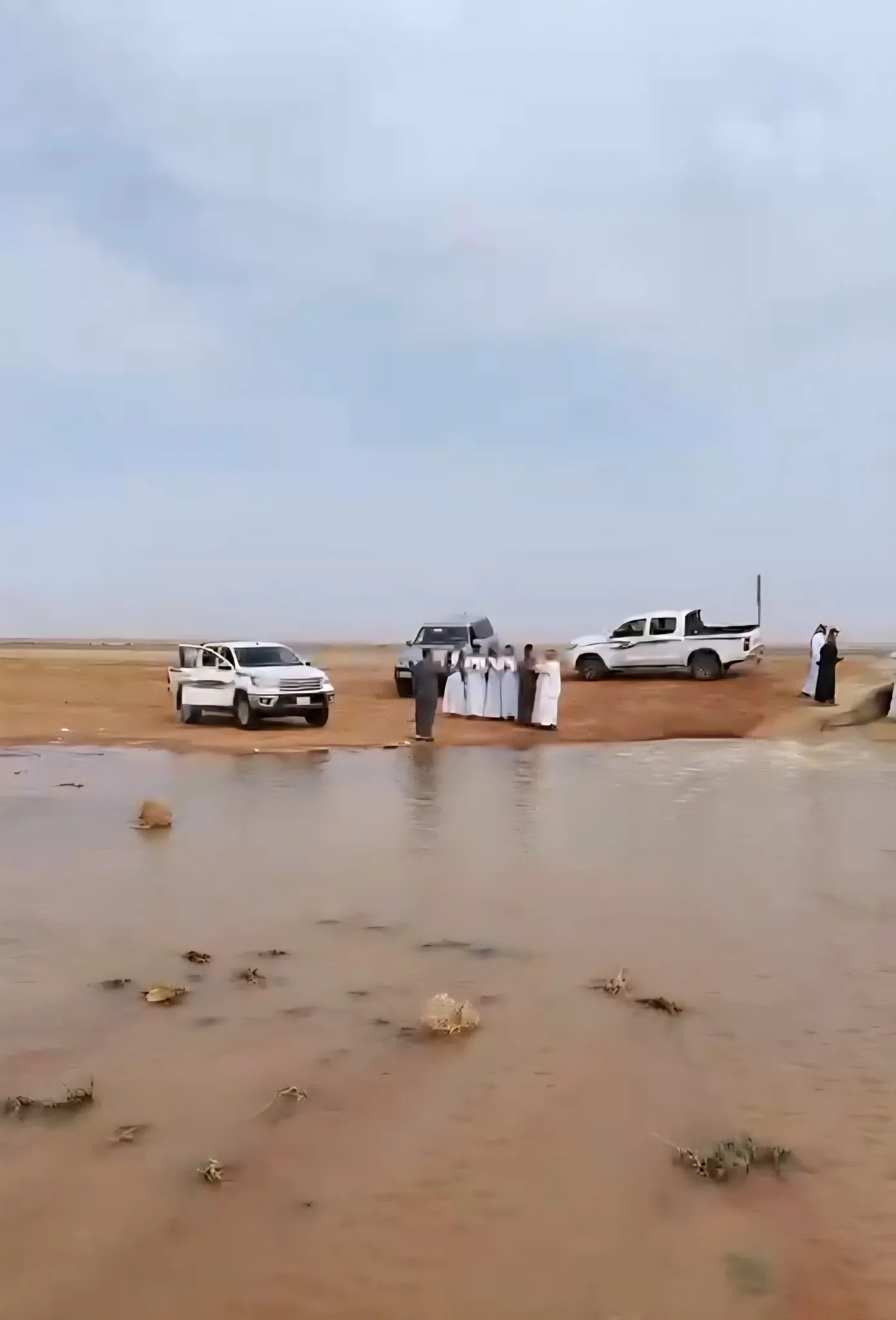 صورة