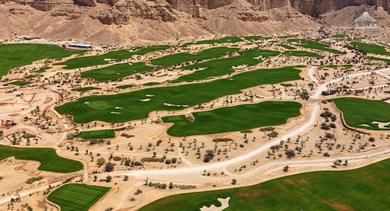 صورة من الألبوم