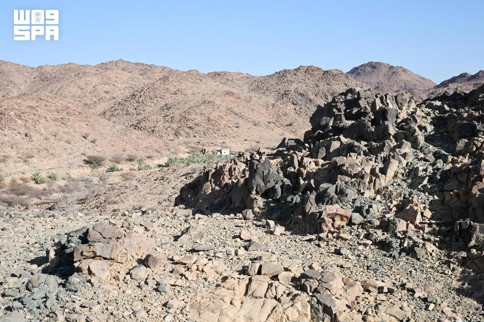 صورة من الألبوم