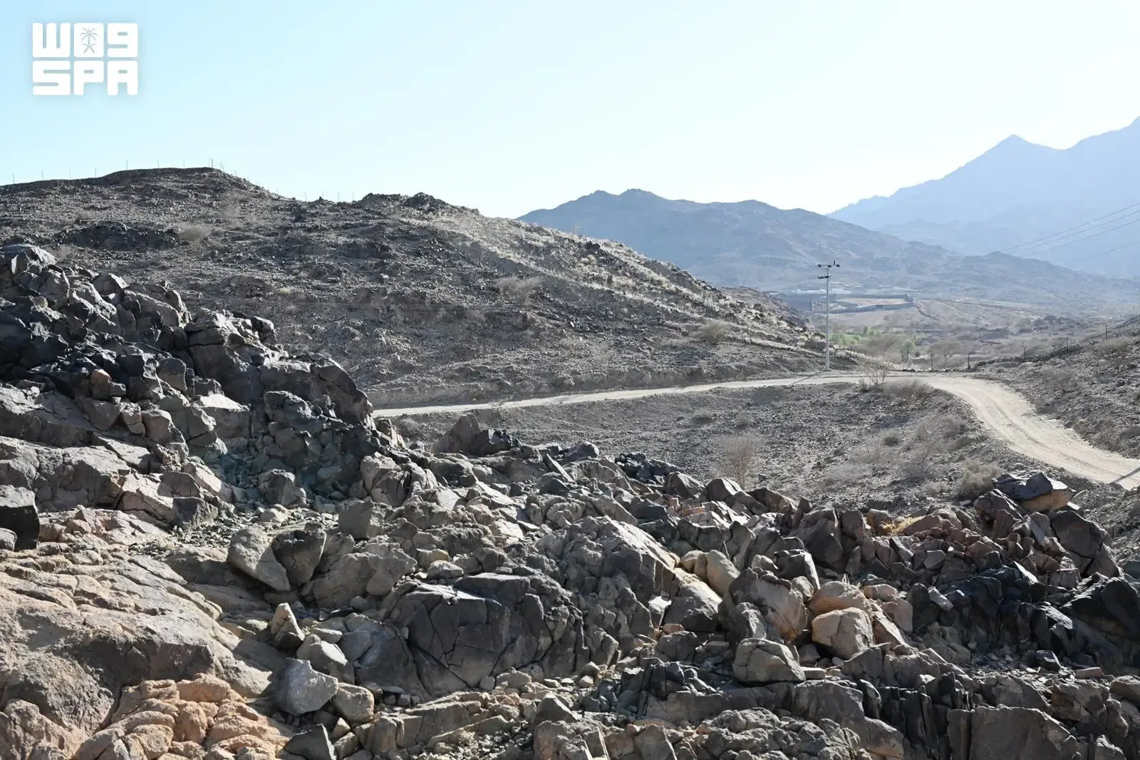 صورة من الألبوم